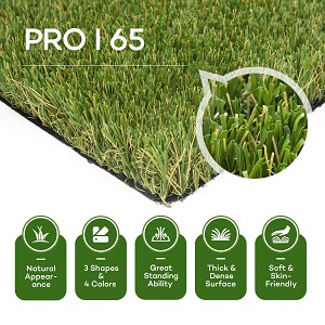 Pro Turf I Lush Fescue